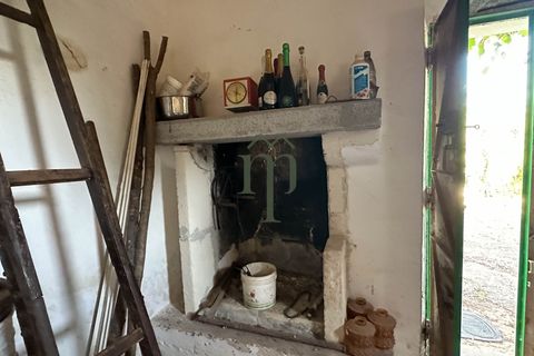 Ruïna a Ostuni, Brindisi, Ostuni - € 43.000 | Ref: Lamia Vite - foto 21